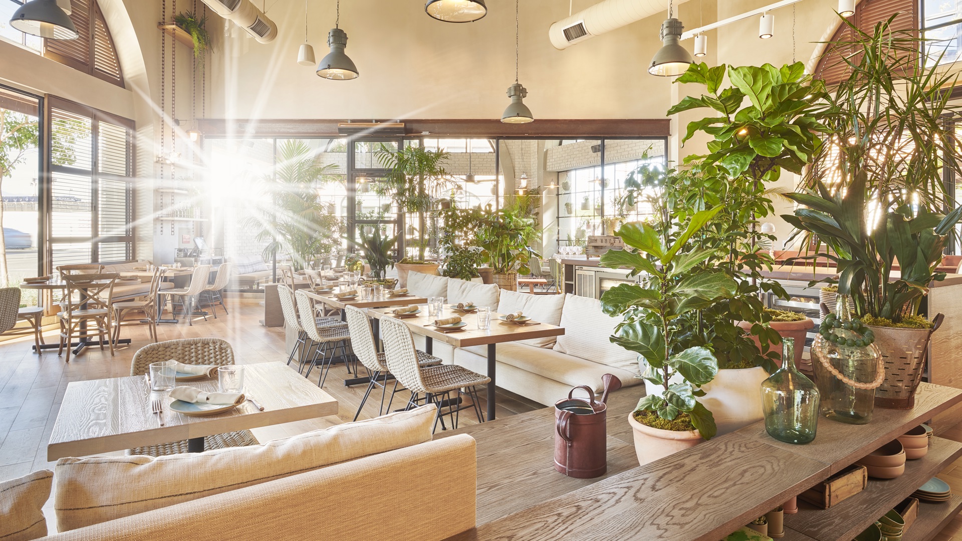 An open bright restuarant with open seating and a lot of leaf plants. 